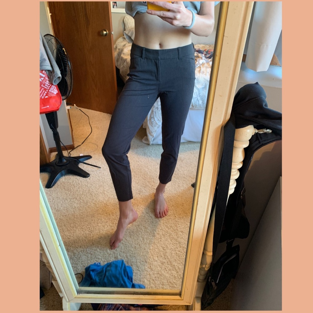 Dress pants